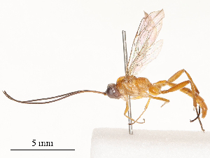  ( - CBG-B22370-H08)  @11 [ ] CreativeCommons - Attribution Share - Alike (2025) CBG Photography Group Centre for Biodiversity Genomics