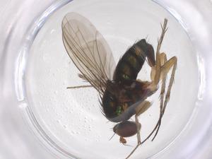  ( - CBG-B22606-E12)  @11 [ ] CreativeCommons - Attribution Share - Alike (2025) Centre for Biodiversity Genomics Centre for Biodiversity Genomics