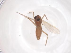  ( - CBG-B23563-H07)  @11 [ ] CreativeCommons - Attribution Share - Alike (2025) Centre for Biodiversity Genomics Centre for Biodiversity Genomics