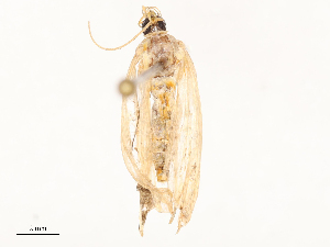  ( - CBG-B23817-F10)  @11 [ ] CreativeCommons - Attribution Share - Alike (2025) CBG Photography Group Centre for Biodiversity Genomics