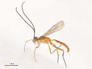  ( - CBG-B23819-E06)  @11 [ ] CreativeCommons - Attribution Share - Alike (2025) CBG Photography Group Centre for Biodiversity Genomics