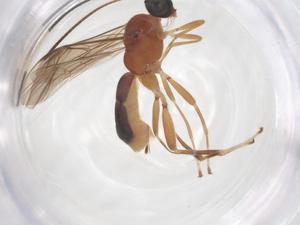  ( - CBG-B00415-H07)  @11 [ ] CreativeCommons - Attribution Share - Alike (2025) Centre for Biodiversity Genomics Centre for Biodiversity Genomics