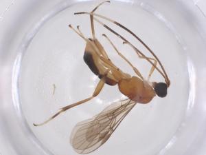  ( - CBG-B00439-D05)  @11 [ ] CreativeCommons - Attribution Share - Alike (2025) Centre for Biodiversity Genomics Centre for Biodiversity Genomics