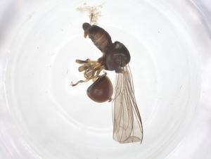  ( - CBG-B00441-F01)  @11 [ ] CreativeCommons - Attribution Share - Alike (2025) Centre for Biodiversity Genomics Centre for Biodiversity Genomics