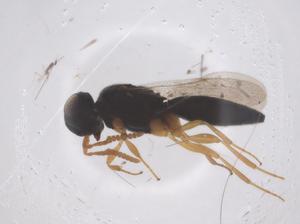  ( - CBG-B04431-C05)  @11 [ ] CreativeCommons - Attribution Share - Alike (2025) Centre for Biodiversity Genomics Centre for Biodiversity Genomics