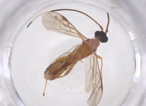  ( - CBG-B21872-B01)  @11 [ ] CreativeCommons - Attribution Share - Alike (2025) Centre for Biodiversity Genomics Centre for Biodiversity Genomics