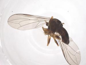  ( - CBG-B21993-F01)  @11 [ ] CreativeCommons - Attribution Share - Alike (2025) Centre for Biodiversity Genomics Centre for Biodiversity Genomics