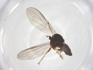  ( - CBG-B21994-G02)  @11 [ ] CreativeCommons - Attribution Share - Alike (2025) Centre for Biodiversity Genomics Centre for Biodiversity Genomics