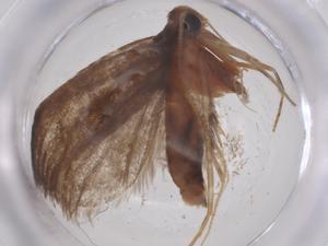  ( - CBG-B23848-D06)  @11 [ ] CreativeCommons - Attribution Share - Alike (2025) Centre for Biodiversity Genomics Centre for Biodiversity Genomics