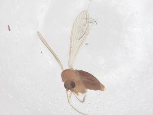  ( - CBG-B23849-B09)  @11 [ ] CreativeCommons - Attribution Share - Alike (2025) Centre for Biodiversity Genomics Centre for Biodiversity Genomics