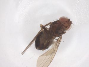  ( - CBG-B02676-E11)  @11 [ ] CreativeCommons - Attribution Share - Alike (2025) Centre for Biodiversity Genomics Centre for Biodiversity Genomics