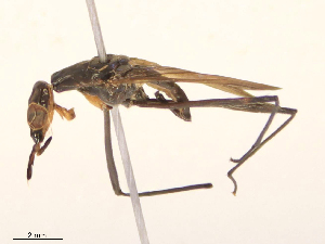  ( - CBG-B21968-D11)  @11 [ ] CreativeCommons - Attribution Share - Alike (2025) CBG Photography Group Centre for Biodiversity Genomics