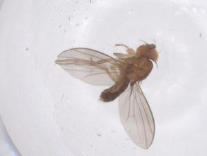  ( - CBG-B02613-F08)  @11 [ ] CreativeCommons - Attribution Share - Alike (2025) Centre for Biodiversity Genomics Centre for Biodiversity Genomics