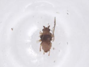  ( - CBG-B02622-F11)  @11 [ ] CreativeCommons - Attribution Share - Alike (2025) Centre for Biodiversity Genomics Centre for Biodiversity Genomics