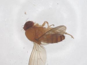  ( - CBG-B02673-C10)  @11 [ ] CreativeCommons - Attribution Share - Alike (2025) Centre for Biodiversity Genomics Centre for Biodiversity Genomics