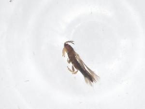  ( - CBG-B02713-G12)  @11 [ ] CreativeCommons - Attribution Share - Alike (2025) Centre for Biodiversity Genomics Centre for Biodiversity Genomics