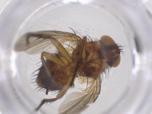  ( - CBG-B11962-E02)  @11 [ ] CreativeCommons - Attribution Share - Alike (2025) Centre for Biodiversity Genomics Centre for Biodiversity Genomics