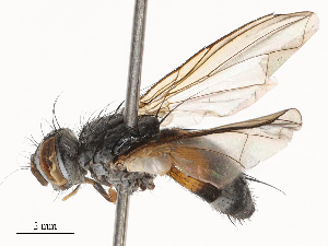  ( - CBG-B21980-F02)  @11 [ ] CreativeCommons - Attribution Share - Alike (2025) CBG Photography Group Centre for Biodiversity Genomics