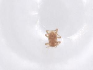  ( - CBG-B23774-E07)  @11 [ ] CreativeCommons - Attribution Share - Alike (2025) Centre for Biodiversity Genomics Centre for Biodiversity Genomics