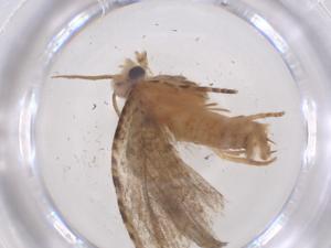  ( - CBG-B23776-F02)  @11 [ ] CreativeCommons - Attribution Share - Alike (2025) Centre for Biodiversity Genomics Centre for Biodiversity Genomics