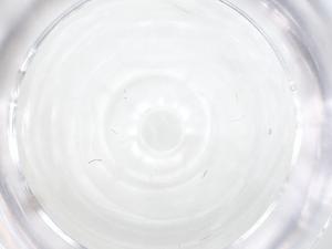  ( - CBG-B23880-G01)  @11 [ ] CreativeCommons - Attribution Share - Alike (2025) Centre for Biodiversity Genomics Centre for Biodiversity Genomics