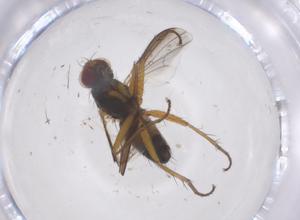  ( - CBG-B23892-E03)  @11 [ ] CreativeCommons - Attribution Share - Alike (2025) Centre for Biodiversity Genomics Centre for Biodiversity Genomics