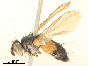  ( - CBG-B23993-D01)  @11 [ ] CreativeCommons - Attribution Share - Alike (2025) CBG Photography Group Centre for Biodiversity Genomics