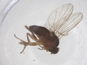  ( - CBG-B24186-D03)  @11 [ ] CreativeCommons - Attribution Share - Alike (2025) Centre for Biodiversity Genomics Centre for Biodiversity Genomics