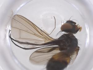  ( - CBG-B24243-B06)  @11 [ ] CreativeCommons - Attribution Share - Alike (2025) Centre for Biodiversity Genomics Centre for Biodiversity Genomics