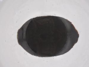  ( - CBG-B15519-E05)  @11 [ ] CreativeCommons - Attribution Share - Alike (2025) Centre for Biodiversity Genomics Centre for Biodiversity Genomics