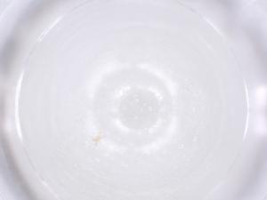  ( - CBG-B23973-F08)  @11 [ ] CreativeCommons - Attribution Share - Alike (2025) Centre for Biodiversity Genomics Centre for Biodiversity Genomics