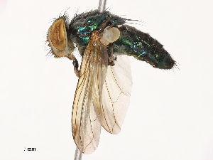  ( - CBG-B23995-F07)  @11 [ ] CreativeCommons - Attribution Share - Alike (2025) CBG Photography Group Centre for Biodiversity Genomics