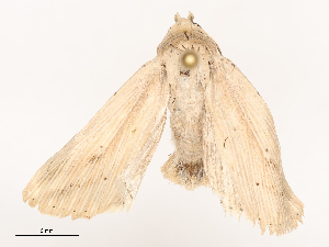  ( - CBG-B24014-F09)  @11 [ ] CreativeCommons - Attribution Share - Alike (2025) CBG Photography Group Centre for Biodiversity Genomics