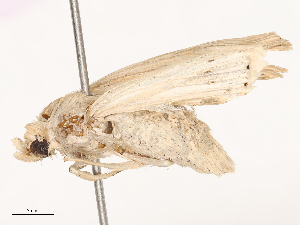  ( - CBG-B24014-F10)  @11 [ ] CreativeCommons - Attribution Share - Alike (2025) CBG Photography Group Centre for Biodiversity Genomics