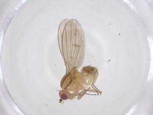  ( - CBG-B12043-B05)  @11 [ ] CreativeCommons - Attribution Share - Alike (2025) Centre for Biodiversity Genomics Centre for Biodiversity Genomics