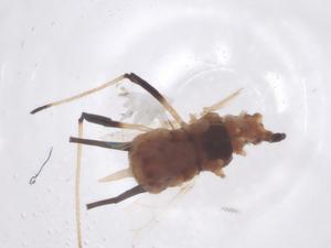  ( - CBG-B15474-H10)  @11 [ ] CreativeCommons - Attribution Share - Alike (2025) Centre for Biodiversity Genomics Centre for Biodiversity Genomics