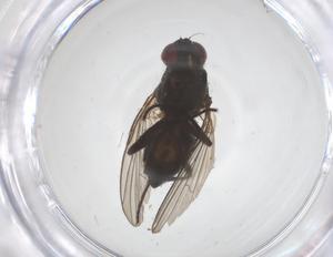  ( - CBG-B16416-G12)  @11 [ ] CreativeCommons - Attribution Share - Alike (2025) Centre for Biodiversity Genomics Centre for Biodiversity Genomics