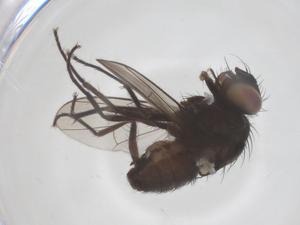  ( - CBG-B18301-G05)  @11 [ ] CreativeCommons - Attribution Share - Alike (2025) Centre for Biodiversity Genomics Centre for Biodiversity Genomics