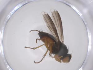  ( - CBG-B12001-F05)  @11 [ ] CreativeCommons - Attribution Share - Alike (2025) Centre for Biodiversity Genomics Centre for Biodiversity Genomics