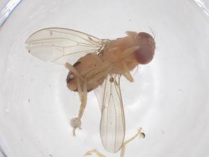  ( - CBG-B12037-G10)  @11 [ ] CreativeCommons - Attribution Share - Alike (2025) Centre for Biodiversity Genomics Centre for Biodiversity Genomics