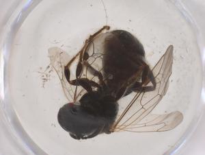  ( - CBG-B15617-B04)  @11 [ ] CreativeCommons - Attribution Share - Alike (2025) Centre for Biodiversity Genomics Centre for Biodiversity Genomics