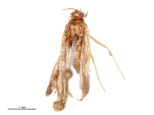  ( - CBG-B23994-G04)  @11 [ ] CreativeCommons - Attribution Share - Alike (2025) CBG Photography Group Centre for Biodiversity Genomics