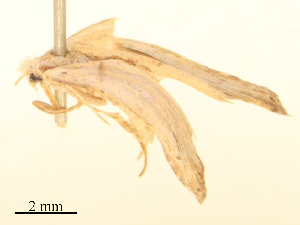  ( - CBG-B24022-D03)  @11 [ ] CreativeCommons - Attribution Share - Alike (2025) CBG Photography Group Centre for Biodiversity Genomics
