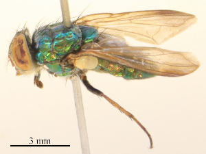  ( - CBG-B24027-B07)  @11 [ ] CreativeCommons - Attribution Share - Alike (2025) CBG Photography Group Centre for Biodiversity Genomics