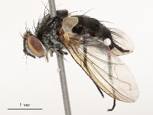  ( - CBG-B24029-B07)  @11 [ ] CreativeCommons - Attribution Share - Alike (2025) CBG Photography Group Centre for Biodiversity Genomics