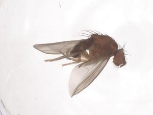  ( - CBG-B24101-H08)  @11 [ ] CreativeCommons - Attribution Share - Alike (2025) Centre for Biodiversity Genomics Centre for Biodiversity Genomics