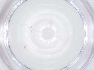  ( - CBG-B16472-F08)  @11 [ ] CreativeCommons - Attribution Share - Alike (2025) Centre for Biodiversity Genomics Centre for Biodiversity Genomics