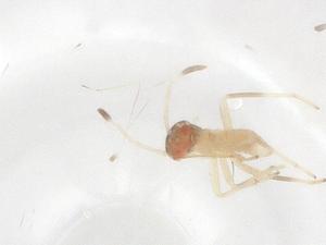  ( - CBG-B16566-B02)  @11 [ ] CreativeCommons - Attribution Share - Alike (2025) Centre for Biodiversity Genomics Centre for Biodiversity Genomics