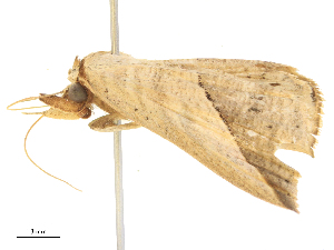  ( - CBG-B24010-C11)  @11 [ ] CreativeCommons - Attribution Share - Alike (2025) CBG Photography Group Centre for Biodiversity Genomics