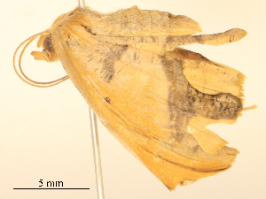  ( - CBG-B24042-E01)  @11 [ ] CreativeCommons - Attribution Share - Alike (2025) CBG Photography Group Centre for Biodiversity Genomics